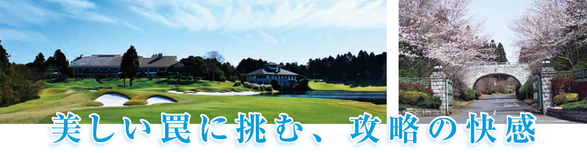 美しい罠に挑む、攻略の快感